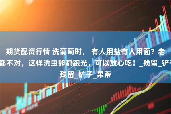期货配资行情 洗葡萄时， 有人用盐有人用面？老果农：都不对，这样洗虫卵都跑光，可以放心吃！_残留_铲子_果蒂