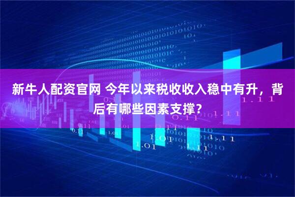 新牛人配资官网 今年以来税收收入稳中有升，背后有哪些因素支撑？